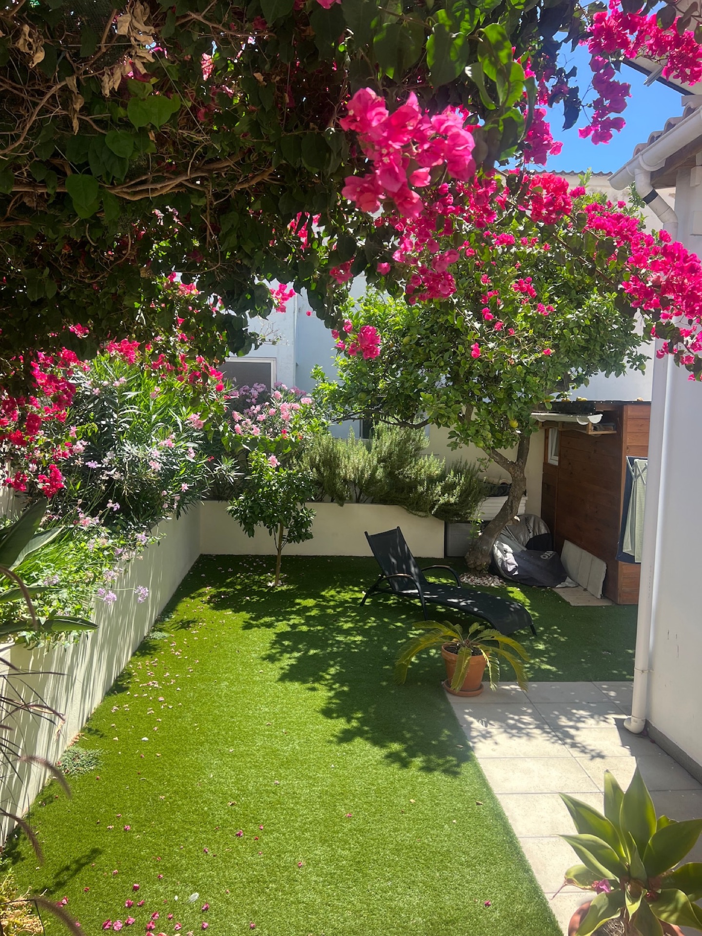 Algarve property
